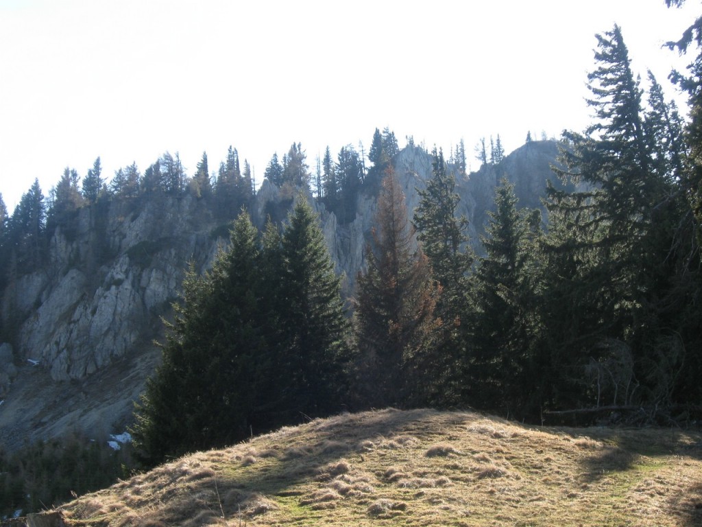 Kahlwandspitze_080