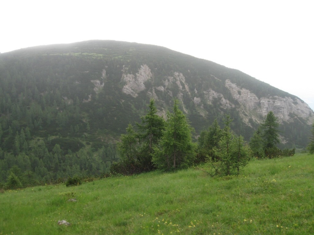 Raidlingueberschr_0104