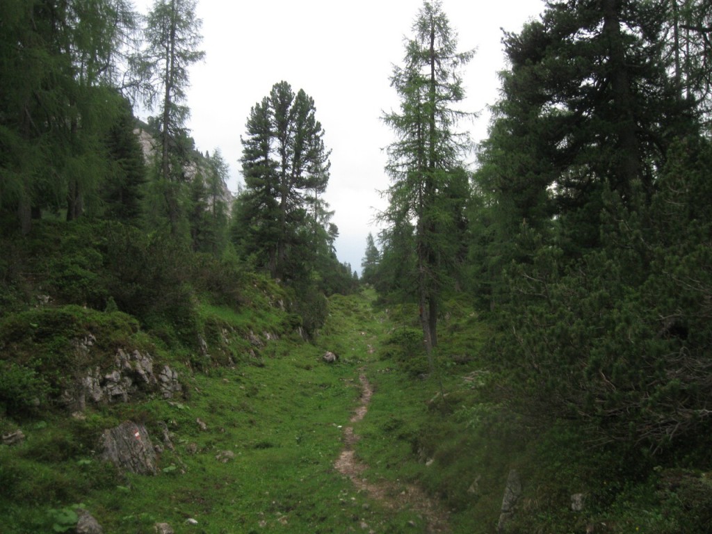 Raidlingueberschr_0118