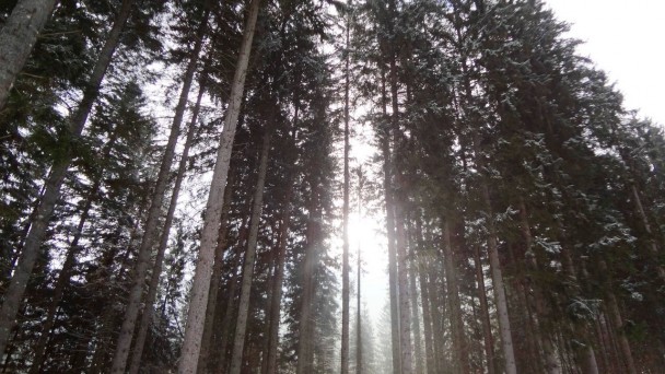 Oetscherkl_005 (CC)