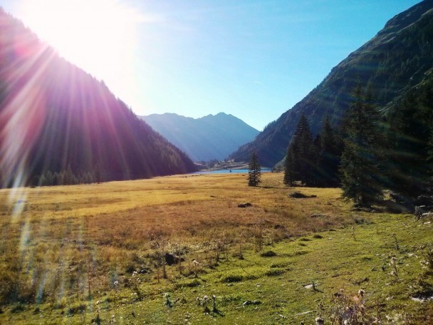 HWStefan_025 (CC)