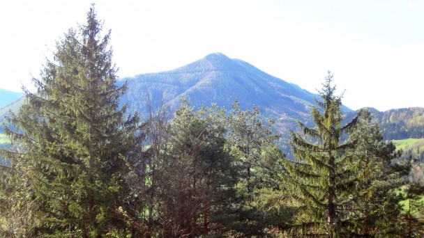 Feichteck_019 (CC)