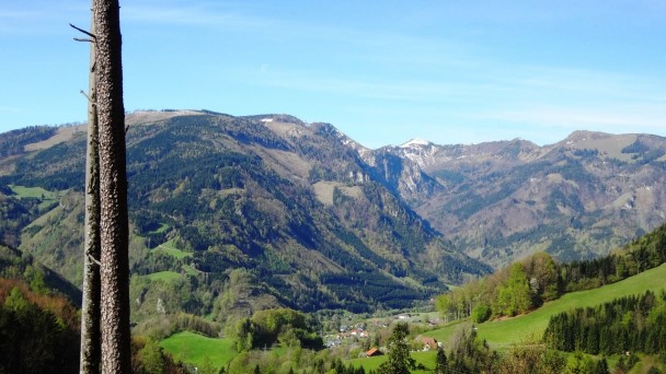 Feichteck_033 (CC)