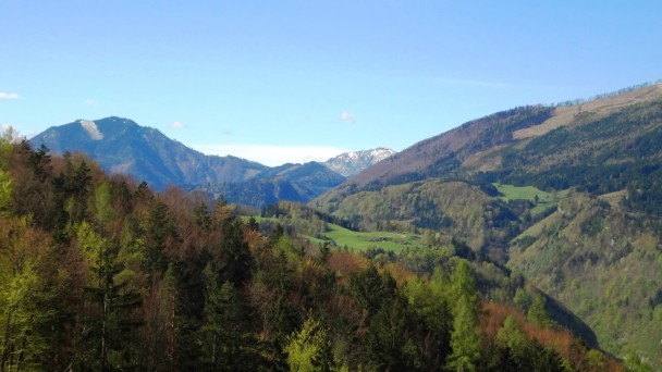 Feichteck_034 (CC)
