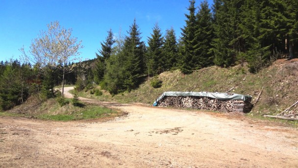 Feichteck_061 (CC)