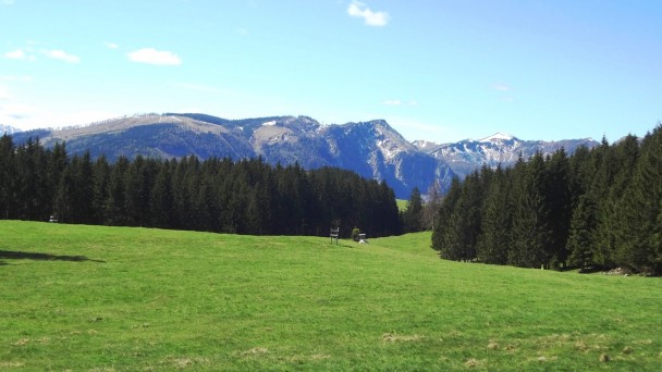 Feichteck_065 (CC)