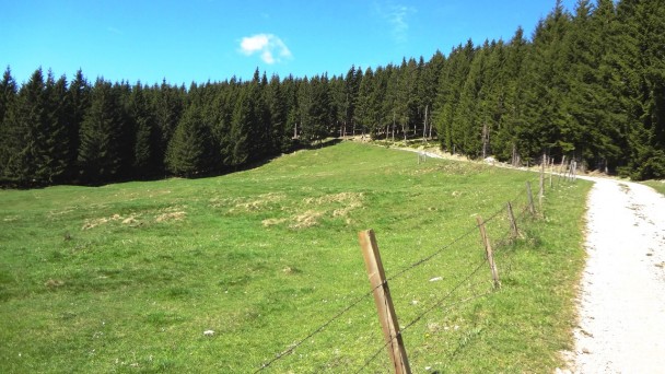 Feichteck_066 (CC)