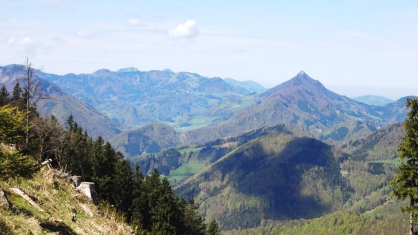 Feichteck_075 (CC)