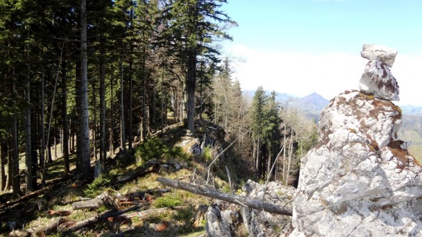 Feichteck_084 (CC)