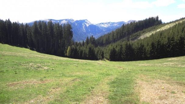 Feichteck_104 (CC)