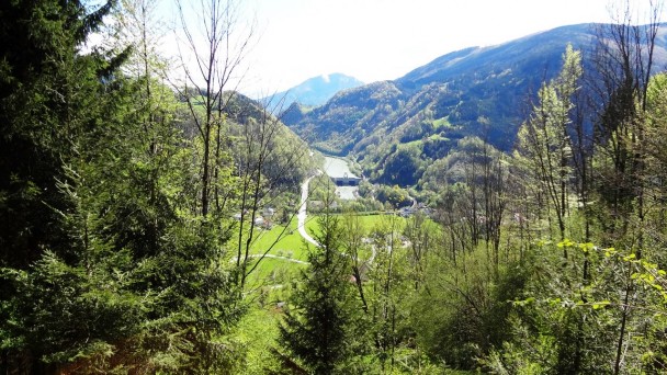 Feichteck_132 (CC)