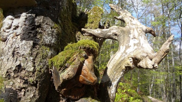 Feichteck_142 (CC)