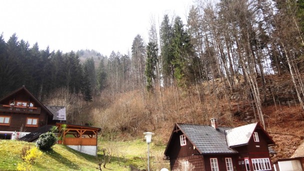Seekopf_000 (CC)