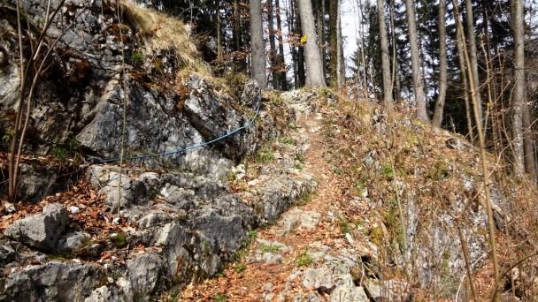 Seekopf_003 (CC)
