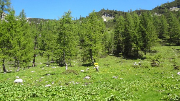 Roßkogel_035 (CC)