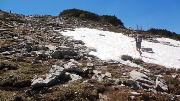 Roßkogel_056 (CC)