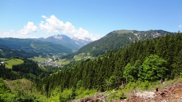 Schneckenwand_083 (CC)