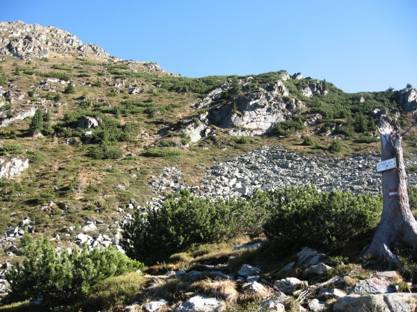 Schober2008_010