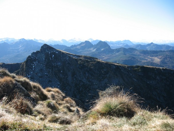 Schober2008_019