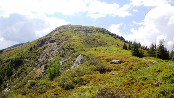 Schober_011