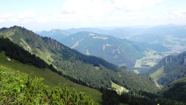 Almkogel_089