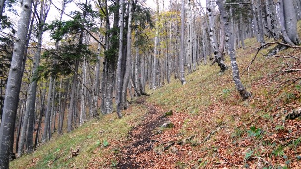 Hochsalm_ 039