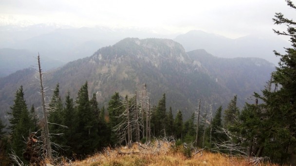 Hochsalm_ 082