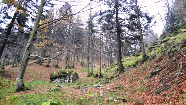 Hochsalm_ 094