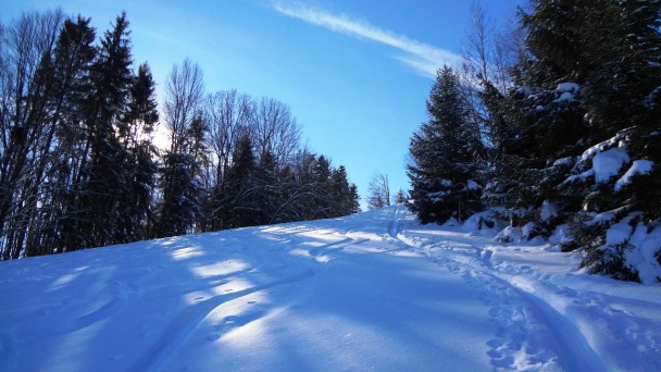Schnabelberg15_ 026