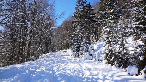 Schnabelberg15_ 032
