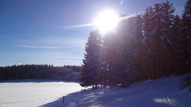 Schnabelberg15_ 048