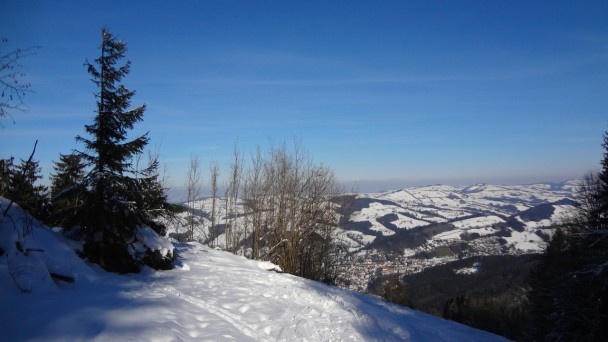 Schnabelberg15_ 061
