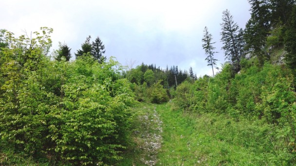 Steineck_ 013