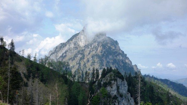 Steineck_ 028