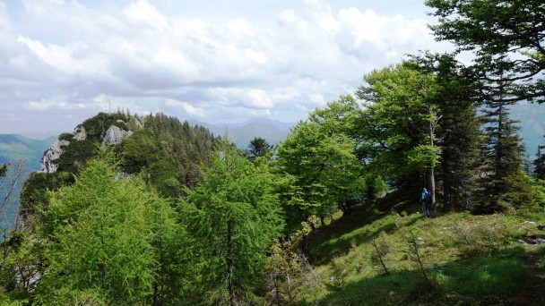 Steineck_ 090