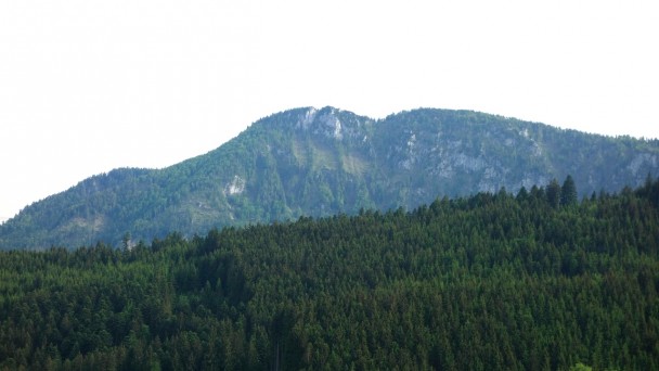 Steineck_ 118