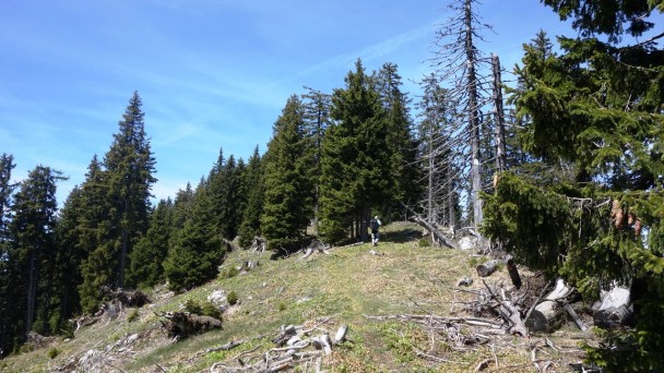 Trett_ 069