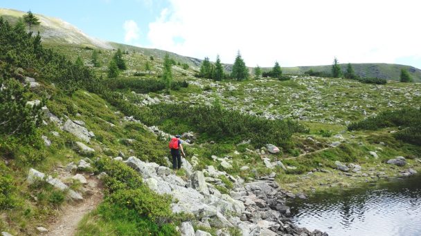 Rosennock_ 042