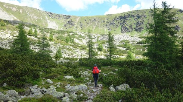 Rosennock_ 045