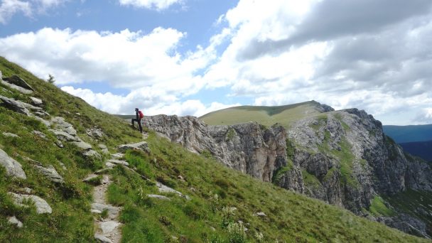Rosennock_ 051