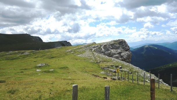 Rosennock_ 058