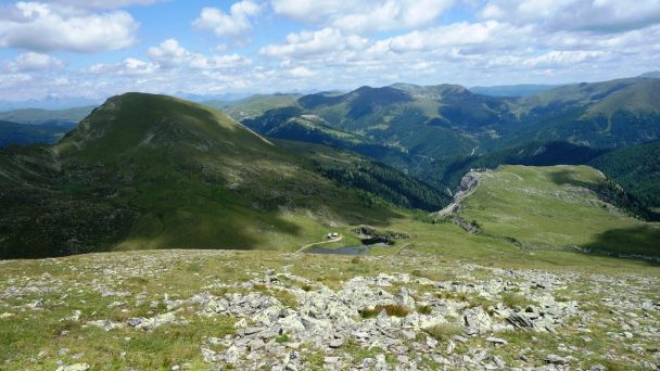 Rosennock_ 060