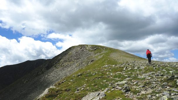 Rosennock_ 062