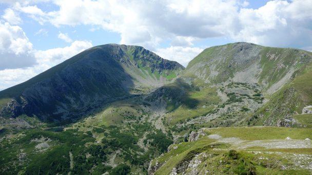 Rosennock_ 128