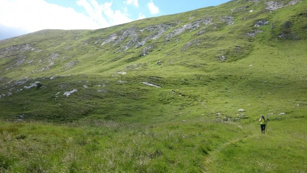 Rosennock_ 140