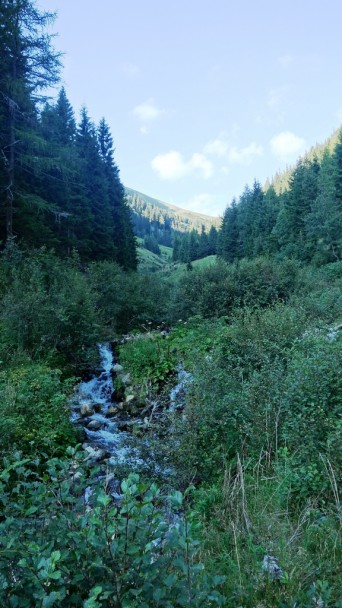 Brandstaetterkogel_ 013
