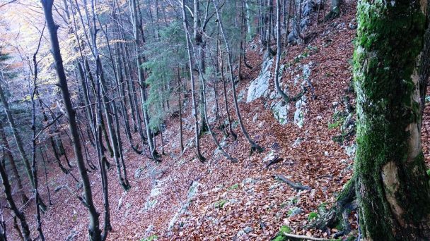 Mittagstein_ 013