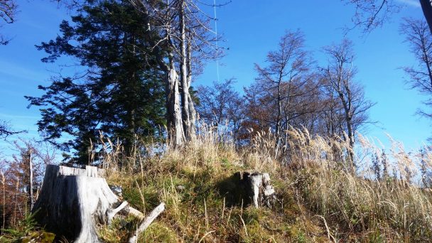 Mittagstein_ 023